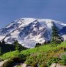 Mt. Rainier National Park, Washington - Credit: Washington Tourism Alliance