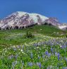 Mount Rainier, Washington - Credit: Visit Seattle