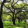White Point Garden/ Charleston/ South Carolina. Credit: Orig
