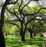 White Point Garden, Charleston, South Carolina - Credit: Public Information Office