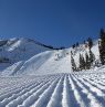 frisch präparierte Piste, Alta, Utah - Credit: Alta Ski Area