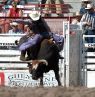 Cheyenne Frontier Days, Wyoming - Credit: Wyoming Office of Tourism