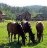 High Country Guest Ranch, South Dakota - Credit: High Country Guest Ranch