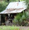 Cajun Swamp Tours, Louisiana - Credit: River Parishes Tourist Comission