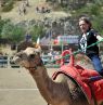 International Camel & Ostrich Races, Virginia City, Nevada - Credit: TravelNevada, Mark Rincon