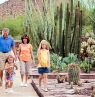 Desert Botanical Garden, Phoenix, Arizona - Credit: Visit Phoenix, Brandon Sullivan