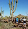 McDowell Sonoran Preserve, Phoenix, Arizona - Credit: Visit Phoenix