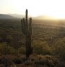 Phoenix Sonoran Preserve, Arizona - Credit: Visit Phoenix