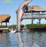 Dolphin Research Center, Marathon, Florida Keys, Florida - Credit: Dolphin Research Center