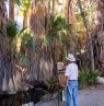 Stephen Hynes, Andreas Canyon, Palm Springs, California - Credit: Visit California, Carol Highsmith