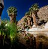 Indian Canyons, California - Credit: Palm Springs Bureau of Tourism
