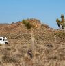 Joshua Tree National Park, California - Credit: Visit California, Bongo