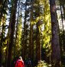 North Cascades National Park, Washington - Credit: Visit Seattle