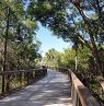 Gordon River Greenway, Everglades, Florida - Credit: Naples Marco Island Everglades CVB, JoNell Modys