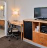 Holiday Inn Hotel & Suites, Tampa, Florida - Credit: Holiday Inn Hotel & Suites Tampa North