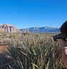 Red Rock Canyon, Nevada - Credit: TravelNevada, Sydney Martinez