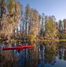 Okefenokee Swamp, Georgia - Credit: Georgia Department of Economic Development, Marketing & Communications Division, Ralph Daniel Photography, Inc.