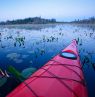 Okefenokee Swamp, Georgia - Credit: Georgia Department of Economic Development, Marketing & Communications Division, Ralph Daniel Photography, Inc.