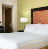 Holiday Inn & Suites Downtown, Atlanta - Credit: InterContinental Hotels Group