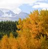 Rocky Mountain National Park, Colorado - Credit: Colorado Tourism Office, Matt Inden/Weaver Mutlimedia Group