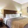 Zimmer mit King Bett, Quality Inn, Clarksdale, Mississippi - Credit: Choice Hotels International
