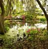 Magnolia Plantation Garden, South Carolina - Credit: South Carolina Tourism Office