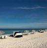 Zota Beach Resort, Longboat Key, Florida - Credit: Zota Beach Resort Longboat Key, FL