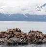 Glacier Bay NP, Alaska - Credit: State of Alaska/Brian Adams