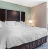 Clarion Inn & Suites Atlanta Downtown, Atlanta, Georgia - Credit: Choice Hotels International, Inc.