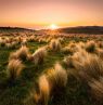 NZ_CAN_Sunset_shutterstock_1016577133 - Credit: KIWI TOURS GmbH