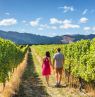 NZ_Weinregion_shutterstock-679336963 - Credit: KIWI TOURS GmbH