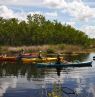 Paddling in the Ten Thousand Islands - Credit: Naples Marco Island Everglades CVB