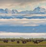 Zapata Ranch, Colorado - Credit: Stephen Weaver