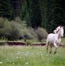 Red Horse Mountain Ranch, Harrison, Idaho - Credit: Red Horse Mountain Ranch