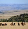 Sweet Grass Ranch, Montana - Credit: Sweet Grass Ranch