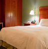 Zimmer mit King Bett, Hampton Inn Charleston-Downtown, Charleston, West Virginia - Credit: Hilton