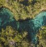 Three Sisters Springs Aerial, Crystal River, Florida - Credit: Matt Marriott