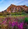 Feldspar Trail, McDowell Sonora Preserve, Scottsdale, Arizona - Credit: Joel Hazelton for Experience Scottsdale
