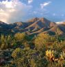 McDowell Mountains, Scottsdale, Arizona - Credit: Experience Scottsdale