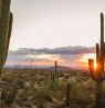 Sonnenuntergang in der Sonora Wüste, Scottsdale, Arizona - Credit: Jenna McKone for Experience Scottsdale