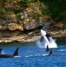 Orcas, San Juan Islands, Washington - Credit: Port of Seattle