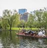 Swan Boats, Public Garden, Boston, Massachusetts - Credit: Kyle Klein, GBCVB