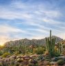 Sonnenaufgang,  McDowell Sonoran Preserve, Scottsdale, Arizona - Credit: Lonna Tucker for Experience Scottsdale