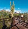 Gateway Trailhead, McDowell Sonoran Preserve, Arizona - Credit: An Pham for Experience Scottsdale
