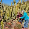 Sonora Desert Museum, Tucson, Arizona - Credit: Steven Meckler, Visit Tucson
