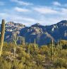 Saguaro National Park, Tucson, Arizona - Credit: Visit Tucson