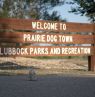 Prairie Dog Town, Lubbock, Texas - Credit: Lubbock CVB