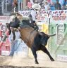Bullriding, Pendleton Round-Up, Oregon - Credit: Travel Oregon, Robert Cosner