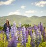 Lupinen, New Hampshire  - Credit: New Hampshire Office of Tourism
