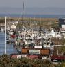 Aussicht, Blue Sail Inn, Morro Bay, CA Credits: Blue Sail Inn